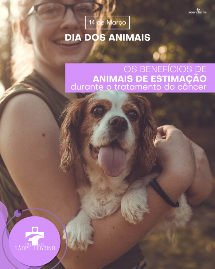 Dia nacional dos Animais
