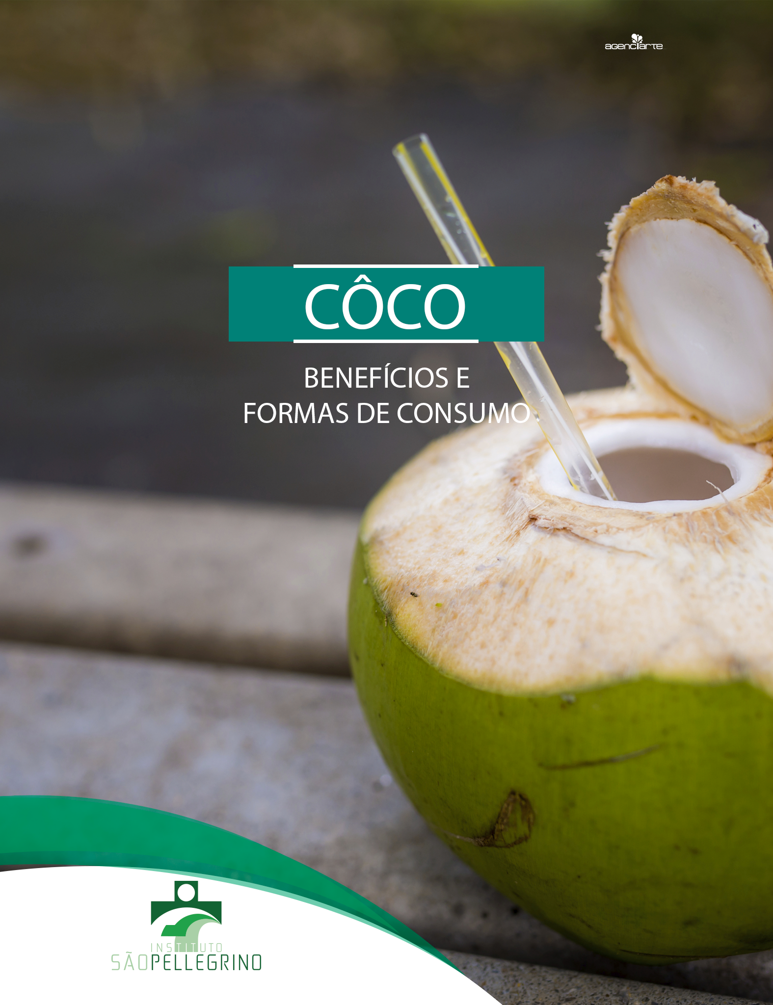 COCO: BENEFÍCIOS E FORMAS DE CONSUMO