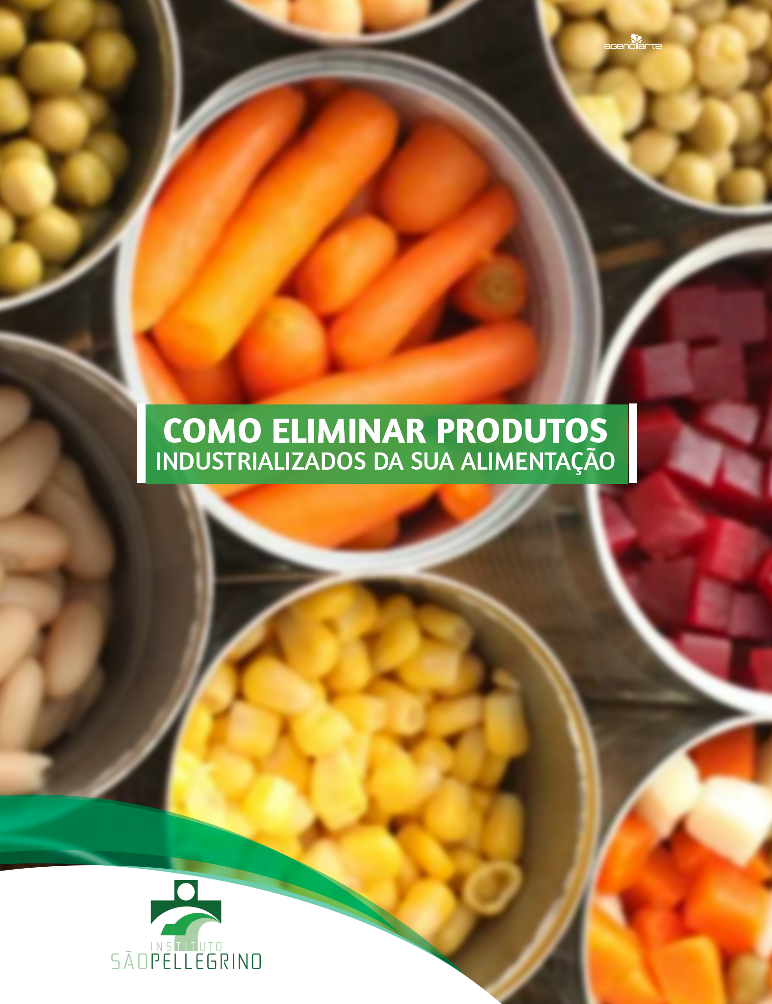 COMO ELIMINAR PRODUTOS INDUSTRIALIZADOS DA SUA ALIMENTAÇÃO