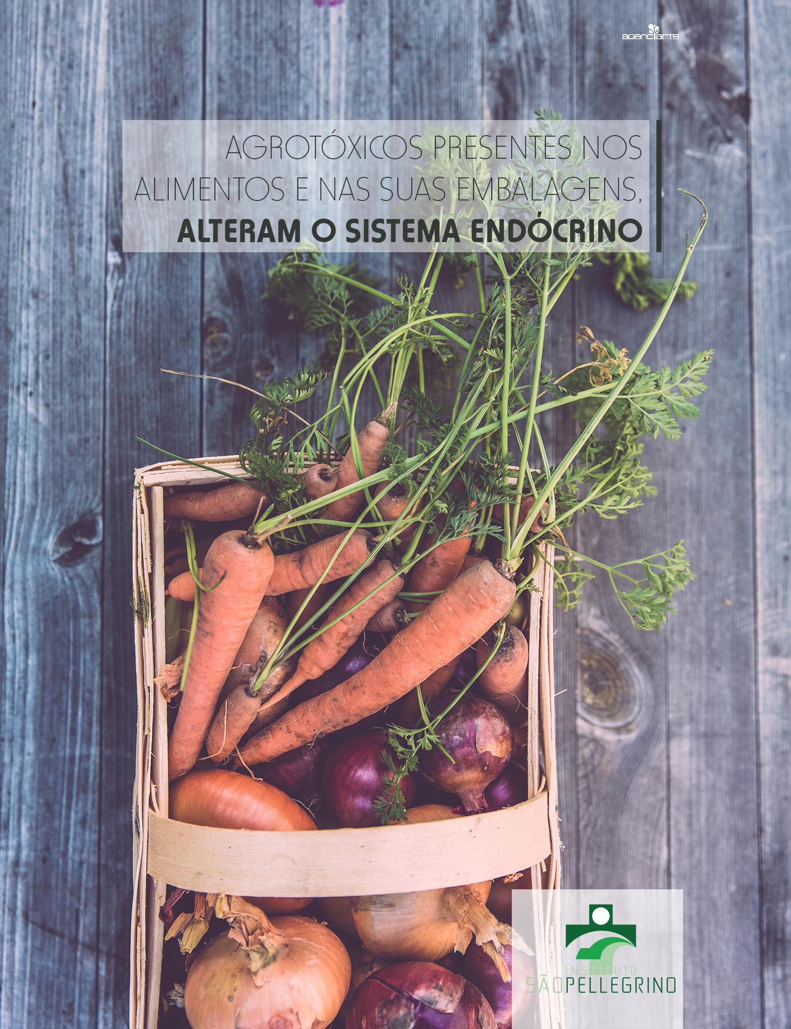 Poluentes e agrotóxicos aumentam risco de câncer de mama